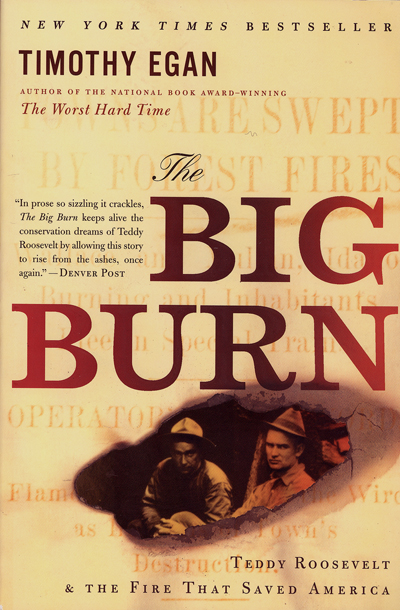 Big Burn Book