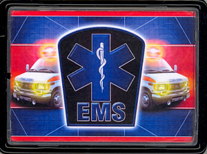 Card Holder - Tin EMS Case