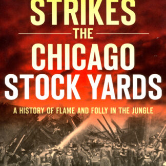 Fire Strikes The Chicago Stock Yards. Book