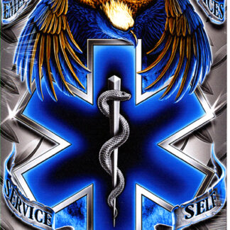 Sign, Metal - EMS Eagle Staff of Life